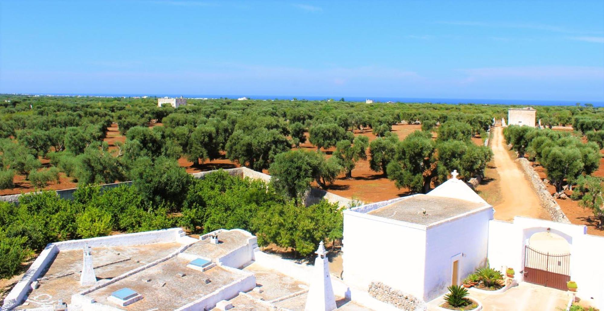 Masseria Mammella Aparthotel Monopoli Exterior photo