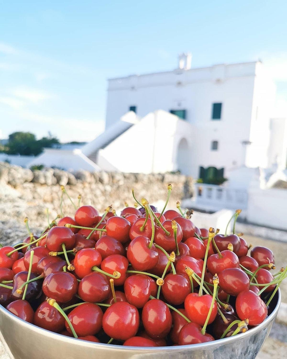 Masseria Mammella Aparthotel Monopoli Exterior photo